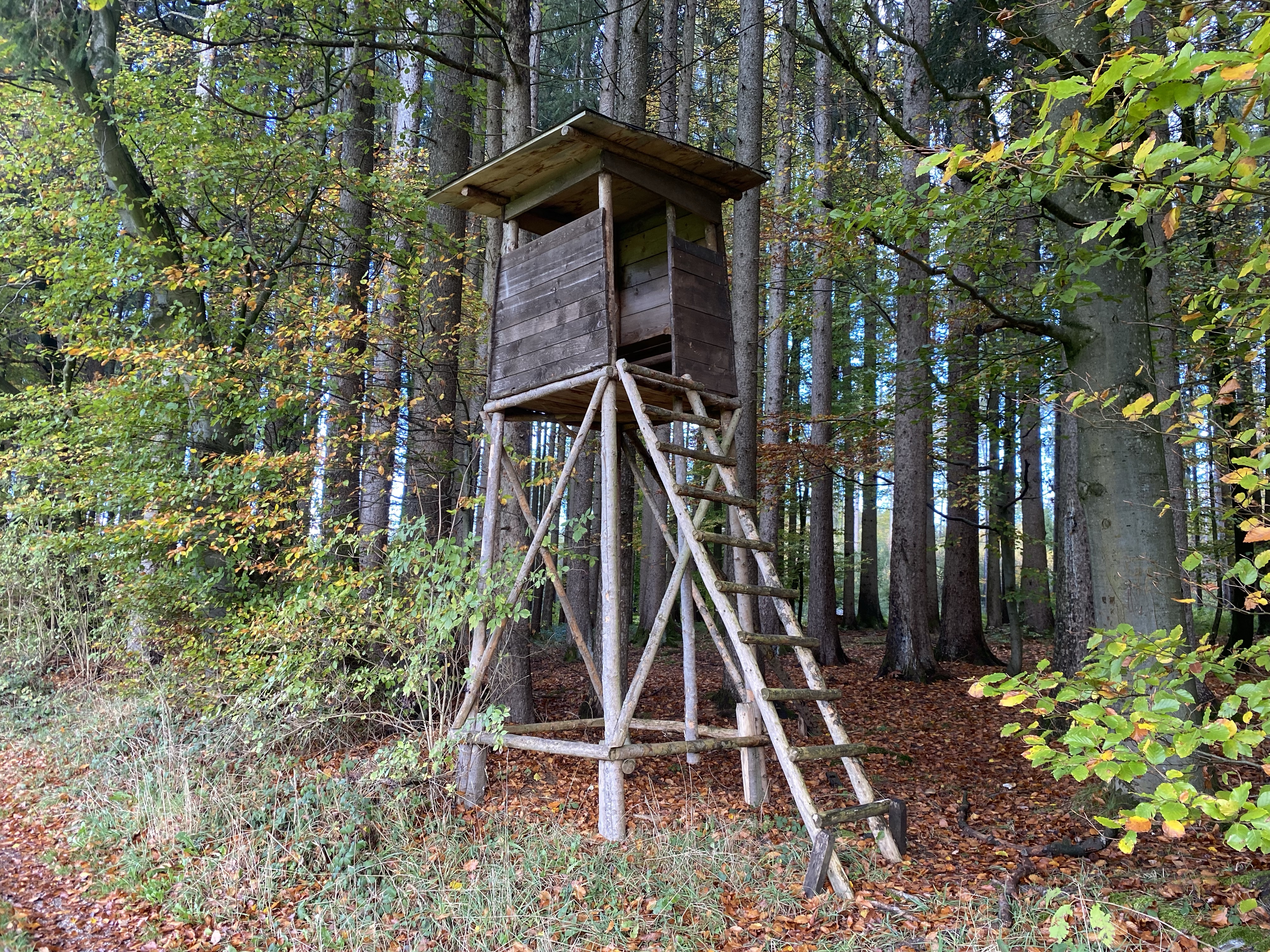 Fixed Tree Stand The Tree Stand – Paul's Blog